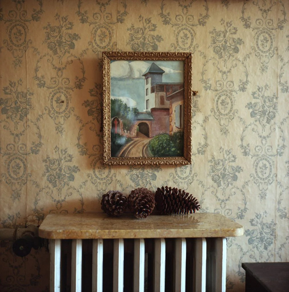 Photographie d'une peinture accrochée au mur représentant un village, au-dessous il y a le radiateur et 3 pommes de pins séchées.