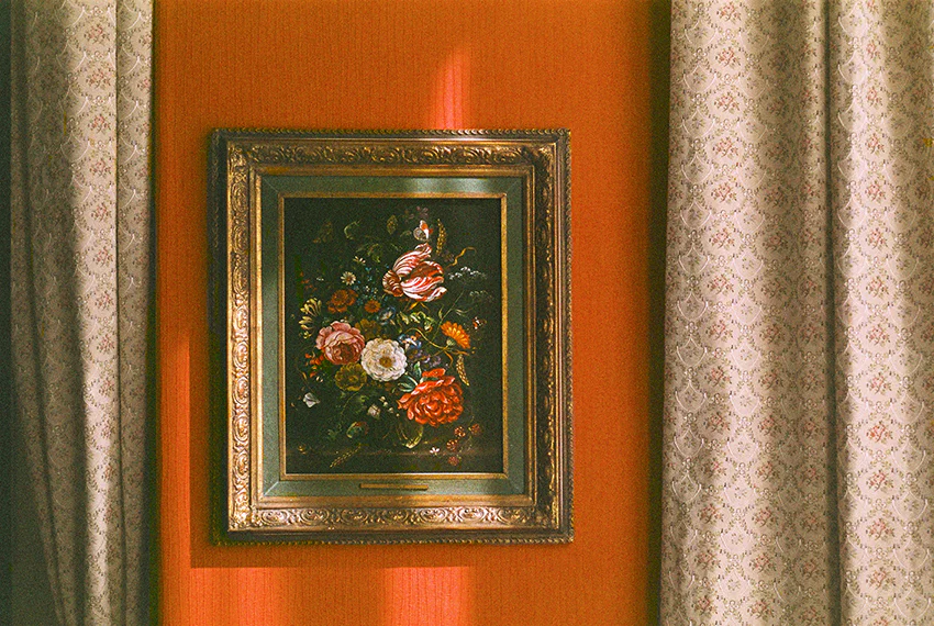 Photographie : Les fleurs en tableau, extrait de Au pays incertain.